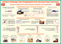  Таблица Общий порядок оказания первой помощи пострадавшим 1000*1400 винил	 - «globural.ru» - Саранск