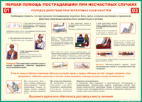 Таблица Порядок действий при переломах конечностей 1000*1400 винил - «globural.ru» - Саранск
