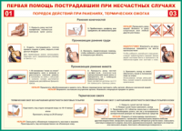 Таблица Порядок действий при ранениях и термических ожогах	 1000*1400 винил - «globural.ru» - Саранск