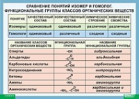 Химия. Сравнение понятий изомер и гомолог. Функциональные группы классов органических веществ (винил) - «globural.ru» - Саранск