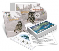 Комбинированное наглядное пособие «Животные» - «globural.ru» - Саранск