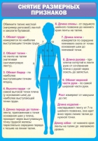 Стенд "Снятие мерок" (вариант 2) - «globural.ru» - Саранск