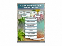 Стенд "Схема приготовления мясных котлет" - «globural.ru» - Саранск