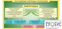 Стенд "Методы селекции и биотехнологии" - «globural.ru» - Саранск