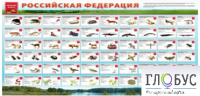 Стенд "Красная книга РФ" - «globural.ru» - Саранск