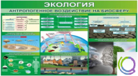 Стенд "Экология. Антропогенное воздействие на биосферу" - «globural.ru» - Саранск