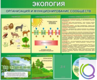 Стенд "Экология. Организация и функционирование сообществ" - «globural.ru» - Саранск