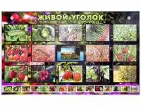 Комплект оборудования "Живой уголок" (растения) с тифлопереводом и сурдокомментариями - «globural.ru» - Саранск