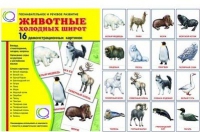 Демонстрационные карточки "Животные холодных широт" - «globural.ru» - Саранск