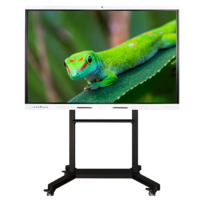 Интерактивный комплекс Geckotouch ​​​​​​​65RK - «globural.ru» - Саранск