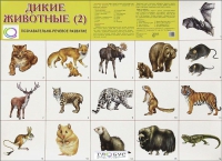 Раздаточные карточки "Дикие животные" часть 2 - «globural.ru» - Саранск