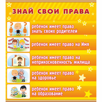 Стенд "Знай свои права" - «globural.ru» - Саранск