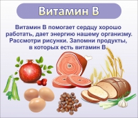 Стенд "Витамин В" - «globural.ru» - Саранск