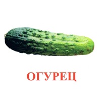 Карточки Домана "Овощи-Зелень-1" - «globural.ru» - Саранск