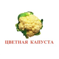 Карточки Домана "Овощи-Зелень-2" - «globural.ru» - Саранск