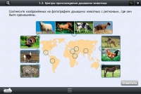 Интерактивные курсы. Биология 7 класс. Расширенный - «globural.ru» - Саранск