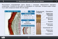 Интерактивные курсы. Биология 5 класс. Базовый  - «globural.ru» - Саранск