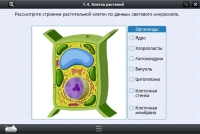 Интерактивные курсы. Биология 9 класс. Расширенный - «globural.ru» - Саранск