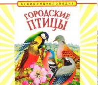 CD "Аудиоэнциклопедия. Городские птицы" - «globural.ru» - Саранск