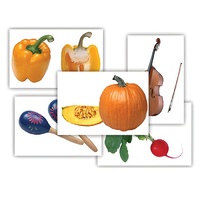 Набор предметных картинок "Овощи. Музыкальные инструменты" - «globural.ru» - Саранск