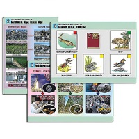 Комплект таблиц для  начальной школы "Окружающий мир. Экология" - «globural.ru» - Саранск