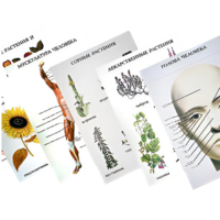 Таблицы по природоведению 1-3 класс - «globural.ru» - Саранск