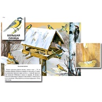 Магнитный плакат-аппликация "Биоразнообразие и экологические группы. Птицы зимой" - «globural.ru» - Саранск