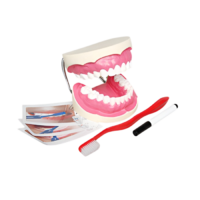 Игровой комплект "Чистим зубы" - «globural.ru» - Саранск