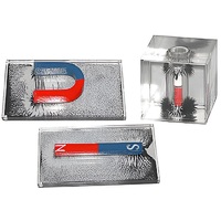 Набор для демонстрации объемных спектров постоянных магнитов - «globural.ru» - Саранск