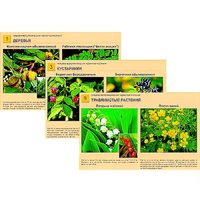 Гербарий фотографический "Ядовитые растения" - «globural.ru» - Саранск