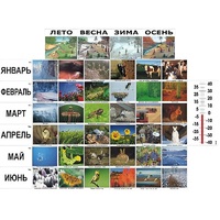 Фенологические наблюдения - «globural.ru» - Саранск