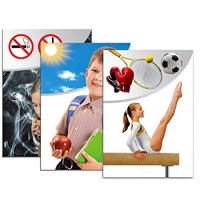 Модель-аппликация "Здоровье человека" - «globural.ru» - Саранск