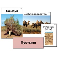 Модель-аппликация "Природные зоны России" - «globural.ru» - Саранск