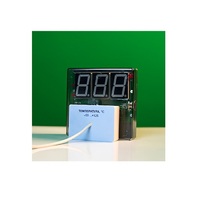 Датчик температуры с независимой индикацией (термометр демонстрационный) - «globural.ru» - Саранск