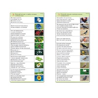 Комплект карточек (10) "Обучающий калейдоскоп. Природа" - «globural.ru» - Саранск