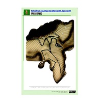 Рельефная таблица "Археоптерикс" (формат А1, матовое ламинир.) - «globural.ru» - Саранск