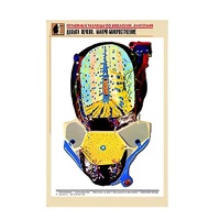 Рельефная таблица "Долька печени. Макро-микростроение" (формат А1, матовое ламинир.) - «globural.ru» - Саранск