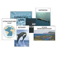 Модель-аппликация "Океаны. Знакомство" (ламинированная) - «globural.ru» - Саранск