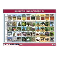 Таблица демонстрационная "Почвы, растения и животные природных зон" (винил 70x100) - «globural.ru» - Саранск