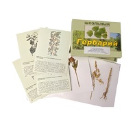 Гербарий "Систематика растений. Семейство Бобовые. Злаки" (раздаточный) - «globural.ru» - Саранск