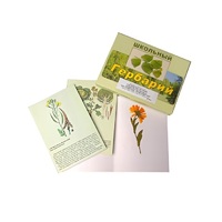 Гербарий "Систематика растений. Семейство Пасленовые. Крестоцветные. Сложноцветные" (раздаточный) - «globural.ru» - Саранск