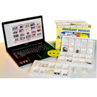 Коллекция натурально-интерактивная "Пластмассы" - «globural.ru» - Саранск