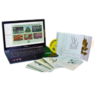 Гербарий натурально-интерактивный "Лекарственные растения" - «globural.ru» - Саранск