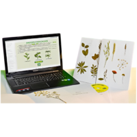 Гербарий натурально-интерактивный "Морфология растений" - «globural.ru» - Саранск