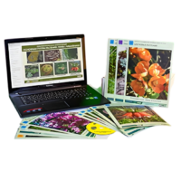 Гербарий натурально-интерактивный "Основные группы растений. Грибы. Лишайники" - «globural.ru» - Саранск