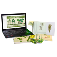 Гербарий натурально-интерактивный "Растительные сообщества. Лес" - «globural.ru» - Саранск