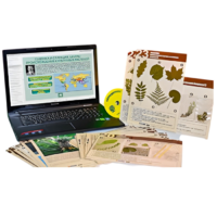 Гербарий натурально-интерактивный к курсу основ общей биологии - «globural.ru» - Саранск