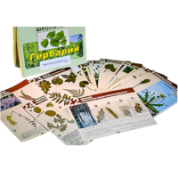 Гербарий к курсу основ общей биологии - «globural.ru» - Саранск