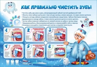 Стенд "Как правильно чистить зубы" - «globural.ru» - Саранск