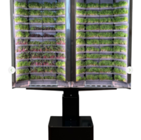 Вертикальная  ферма «Моя микрозелень» комплектация  «Театро настенная» - «globural.ru» - Саранск